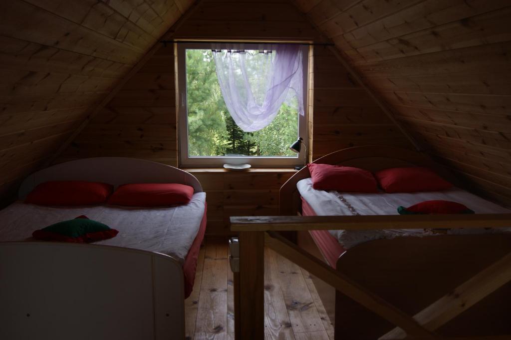 Traku Horizontai room 3
